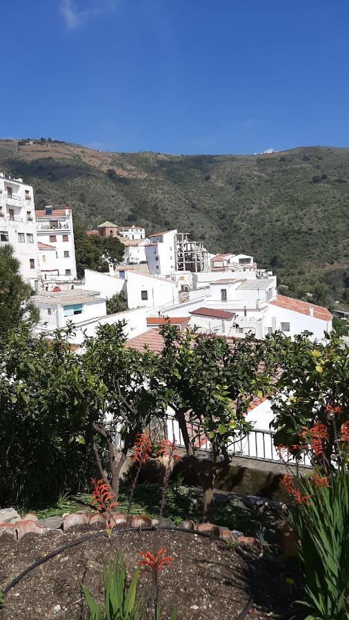 Villa Monte Polopos Екстериор снимка